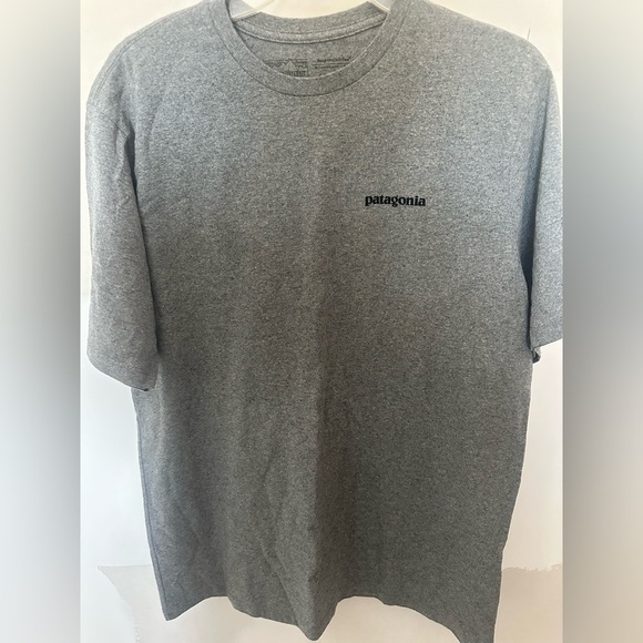 Patagonia Gray Mountain Graphic Tee - Picture 6 of 6